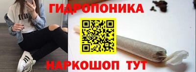 spice Кандалакша
